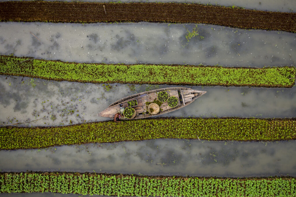 Sustainable agriculture