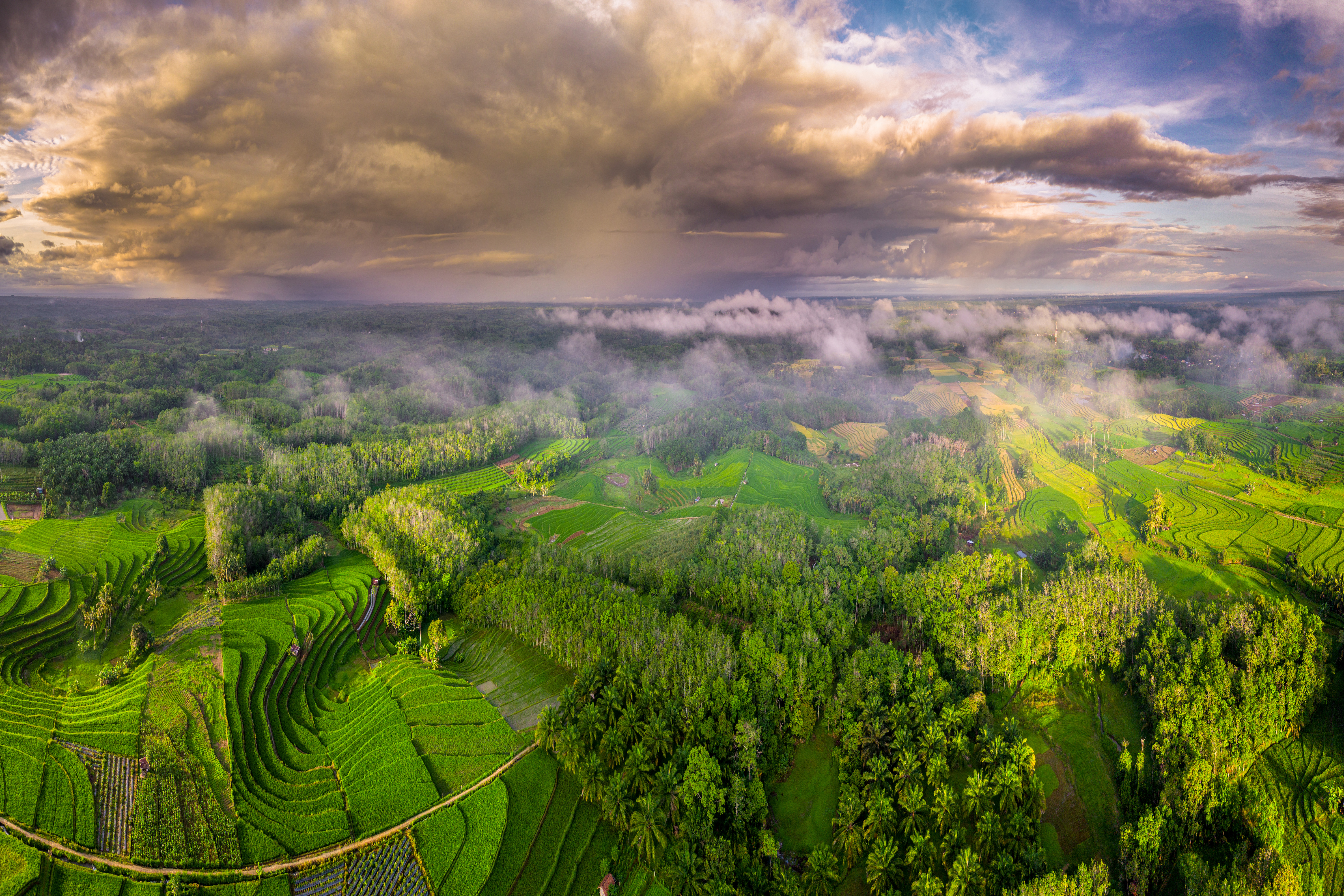 Beautiful misty morning with views of green rice fields below the mountain
