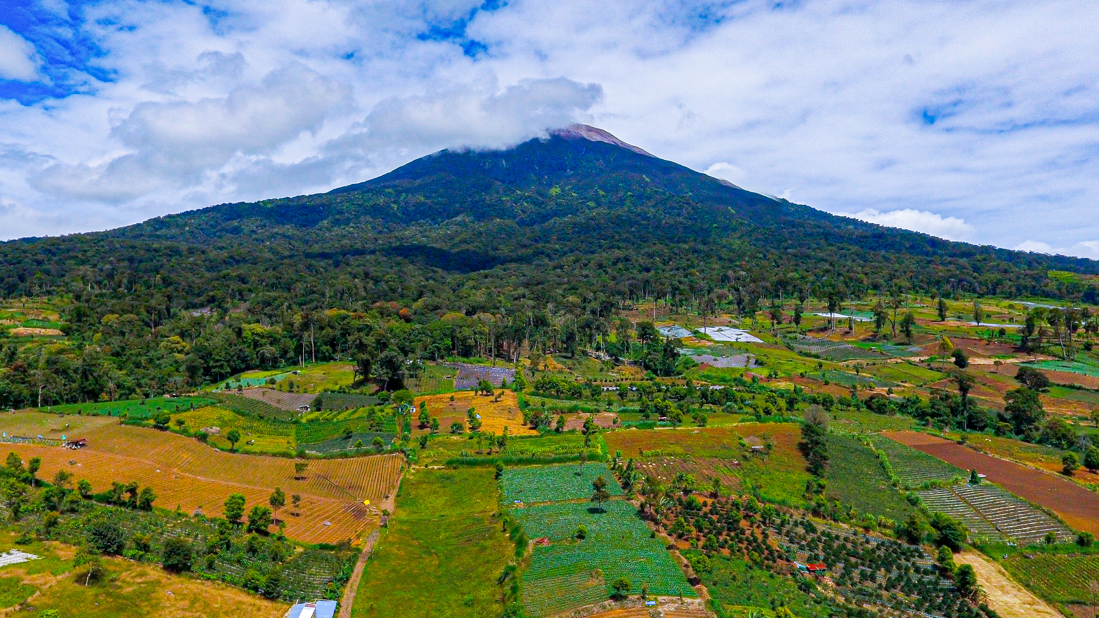 Kerinci: Guardian of forests, sustainer of life