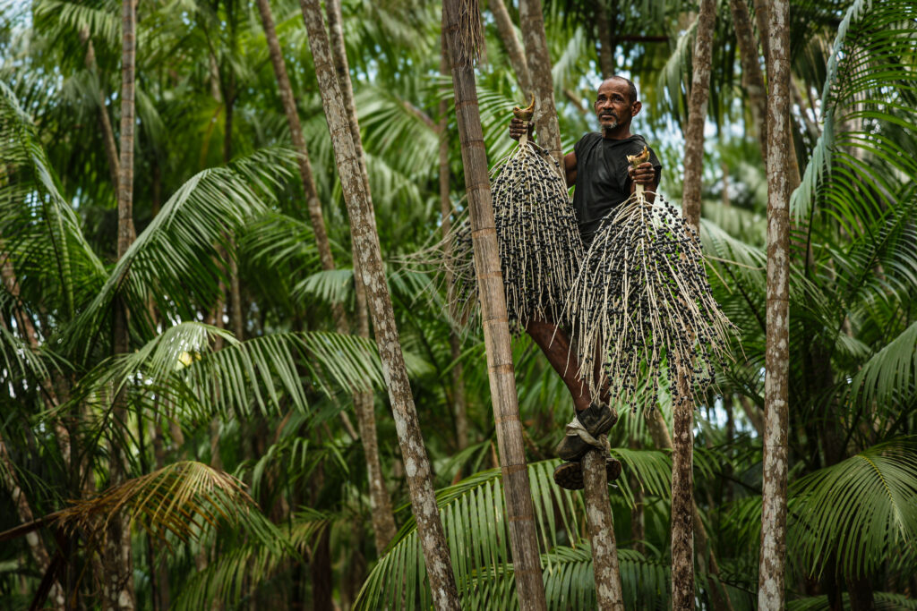 Harvesting sustainability