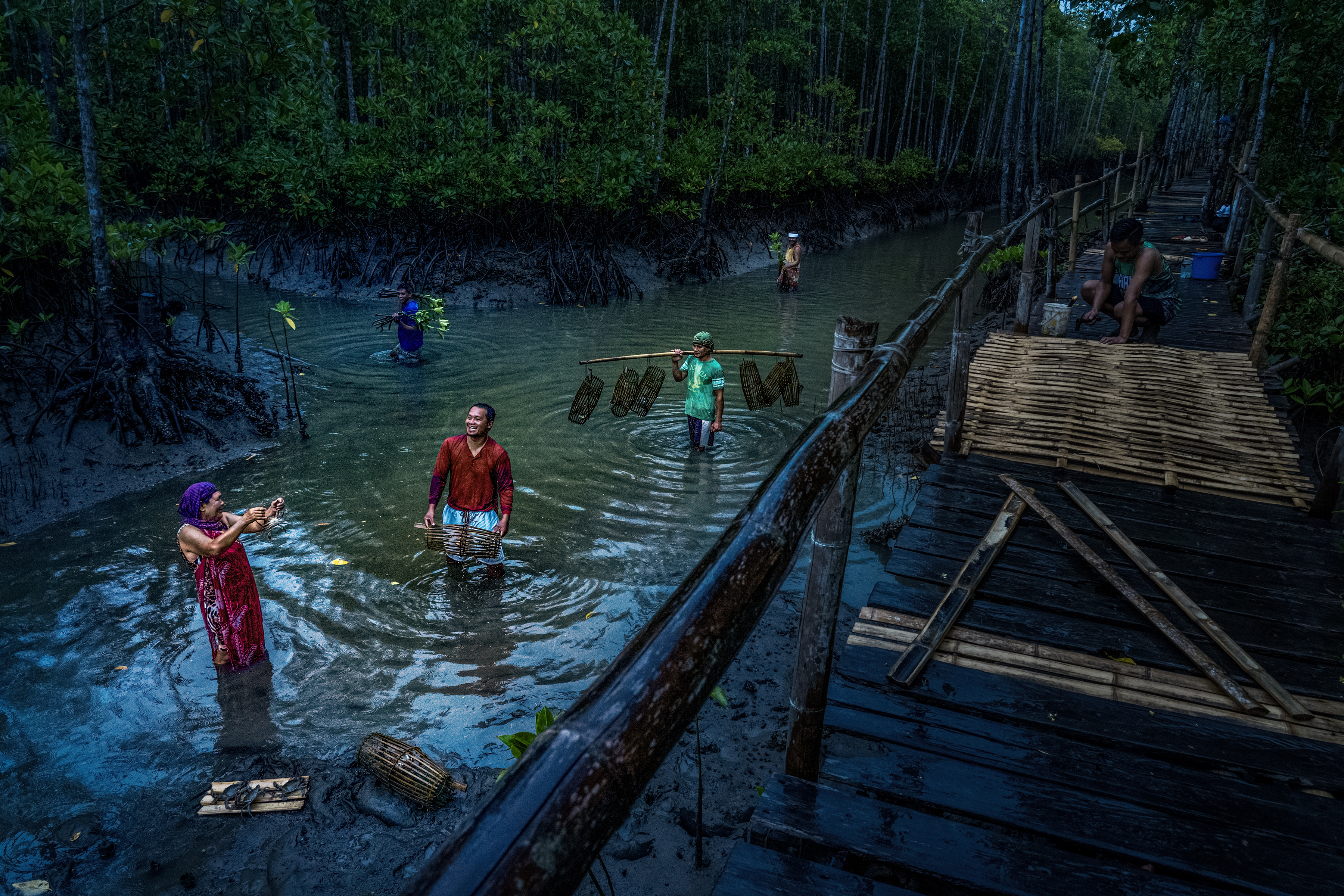 Mangrove eco-park: Where nature heals and communities thrive