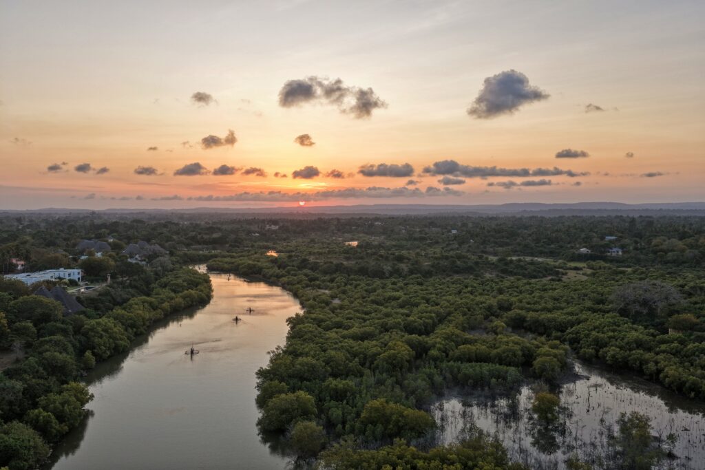 Where the river meets the sun