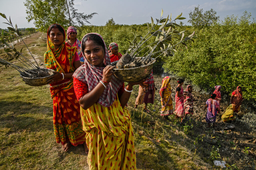 Sowing hope: Women of Sundarbans nurture mangrove future