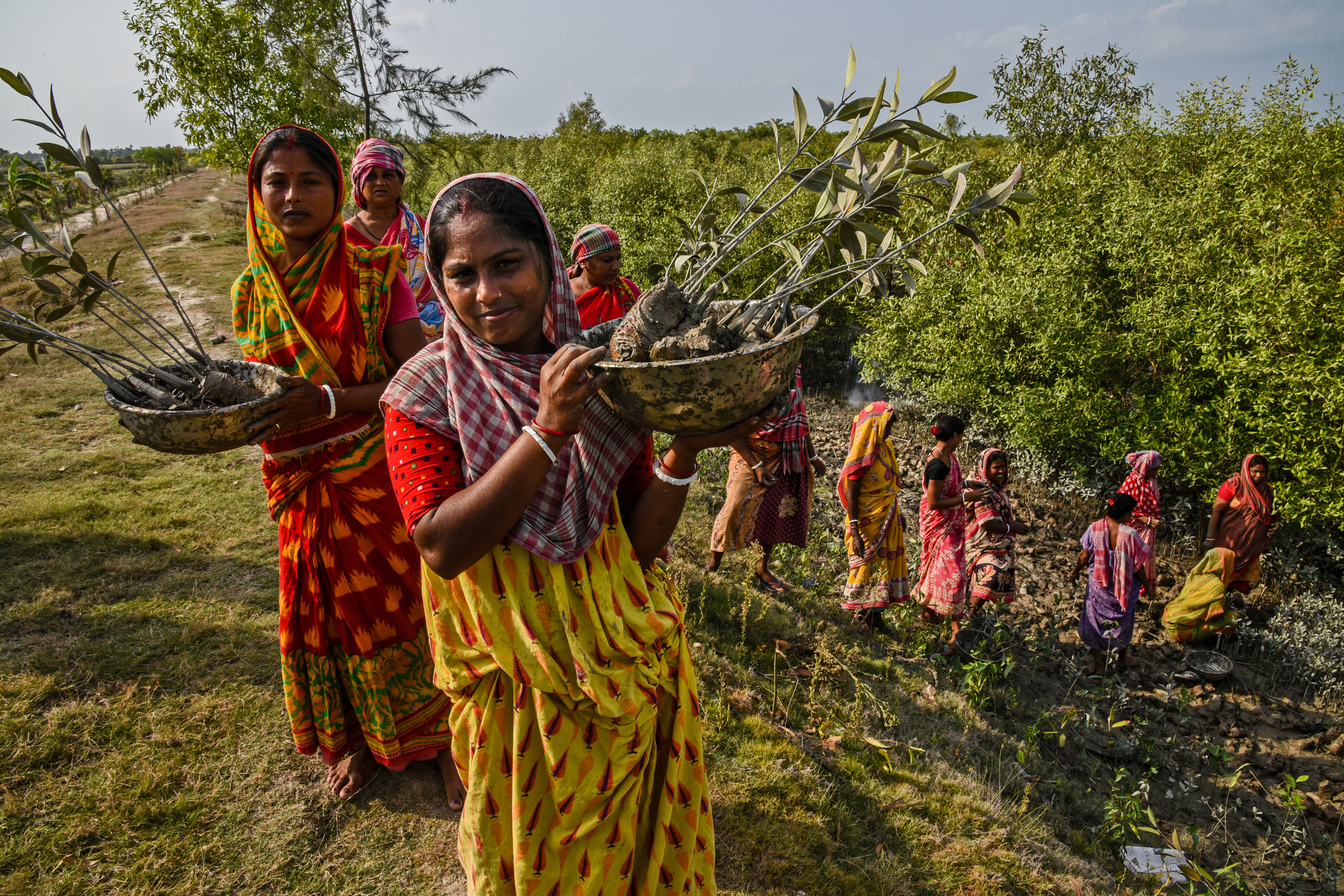 Sowing hope: Women of Sundarbans nurture mangrove future